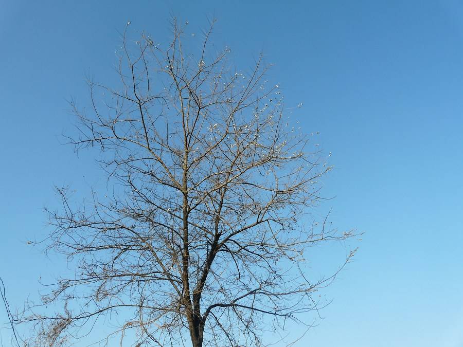 P1030451.jpg
