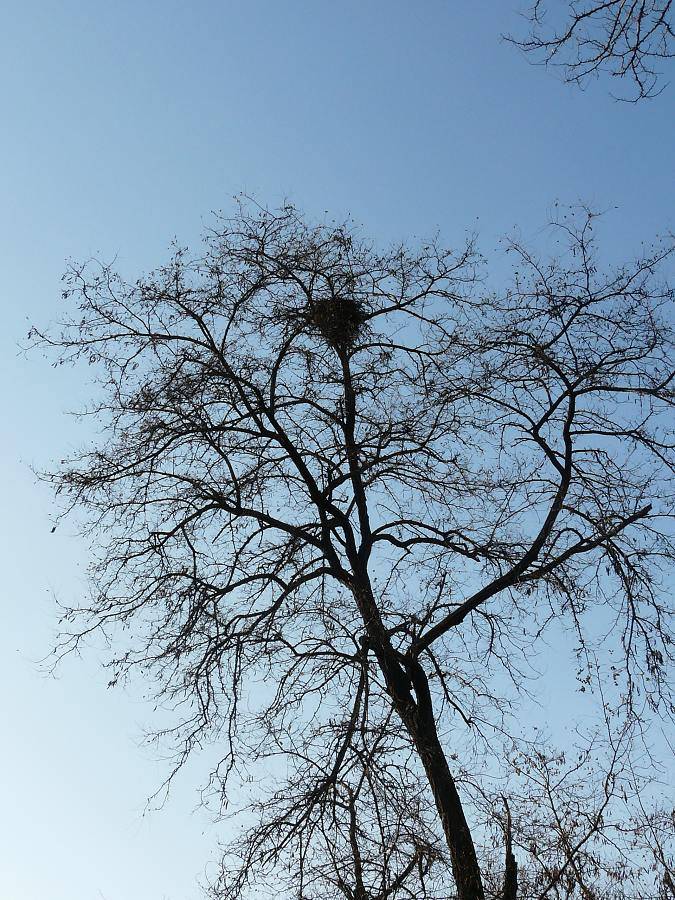 P1030462.jpg