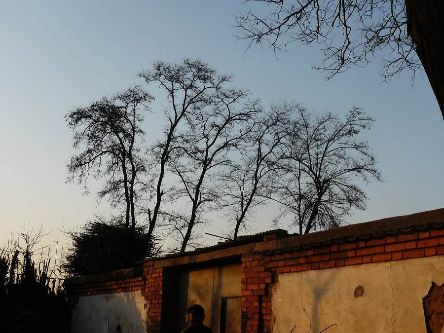 P1030522.jpg