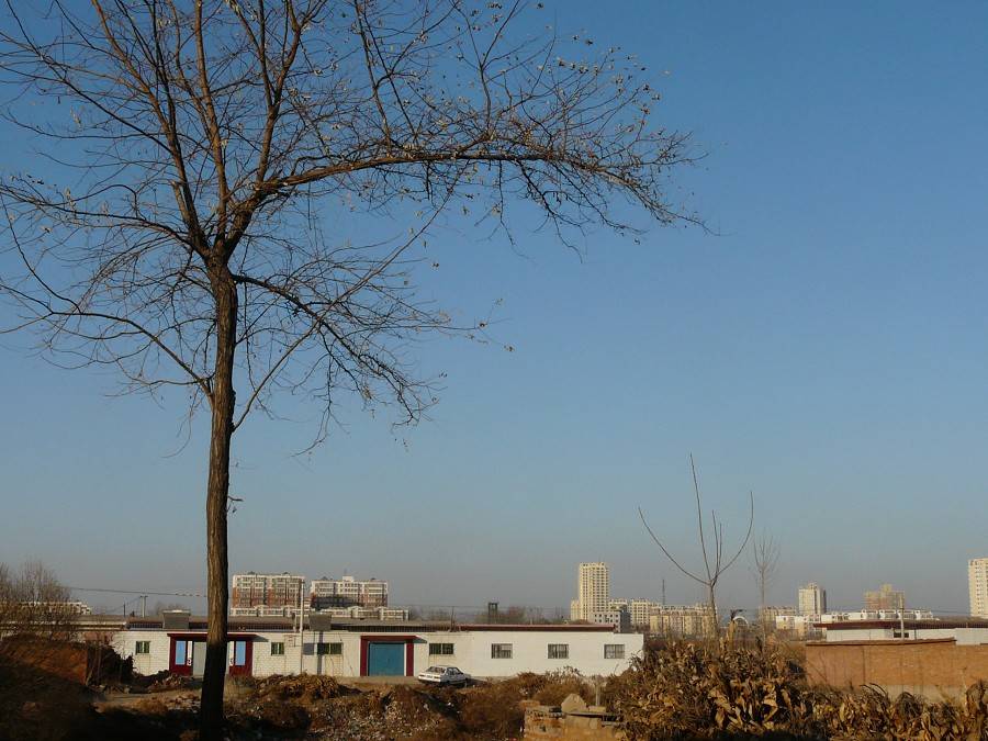 P1030467.jpg