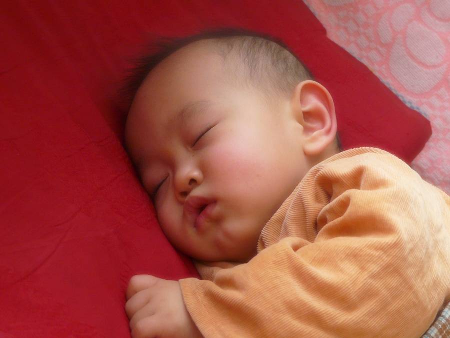 P1030428.jpg