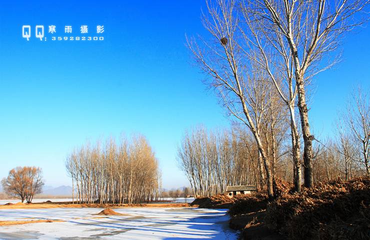 _MG_7477.jpg