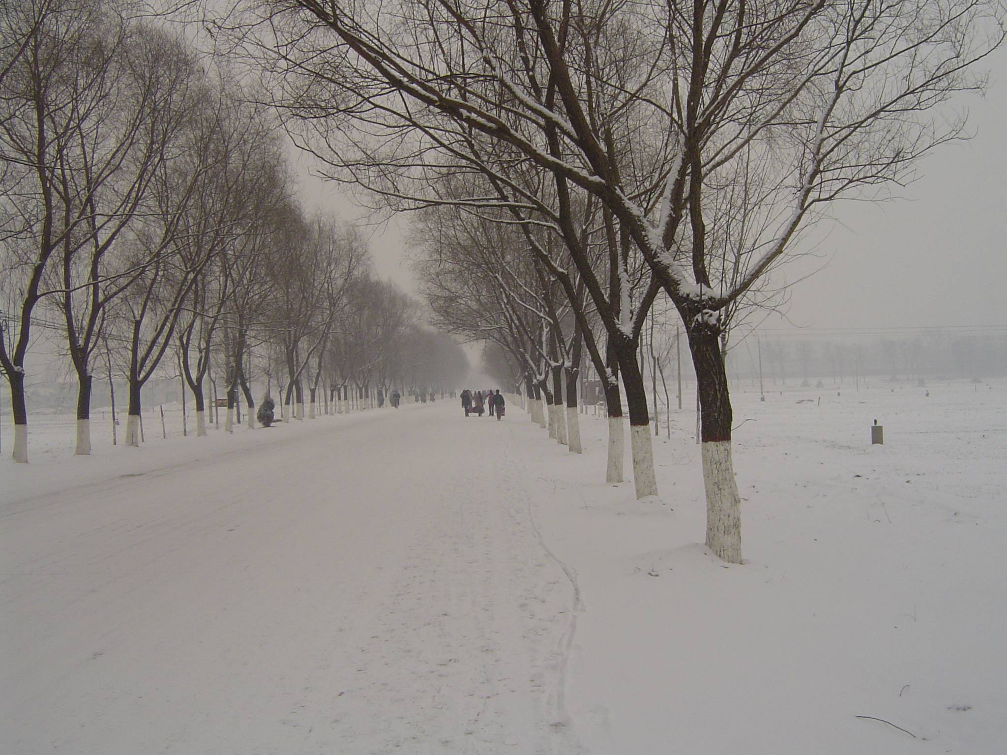 DSC03972.JPG