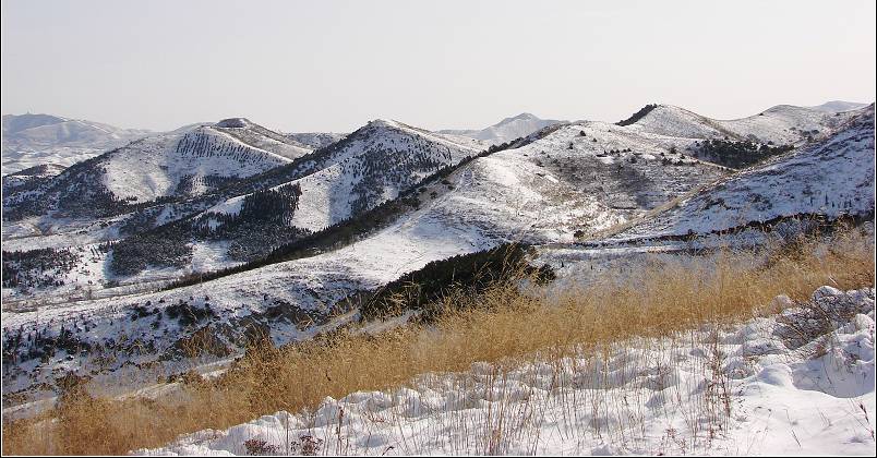 20081222_3a89d363a216cffb5406bYq30jCuHFfq.jpg