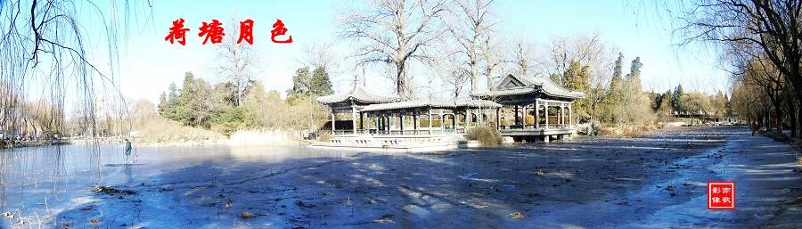 100_2401b.jpg