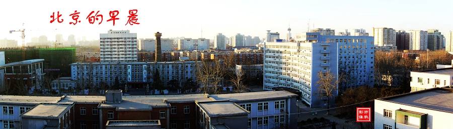 100_0381b.jpg