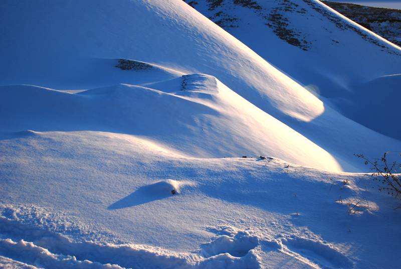 DSC_0075.jpg