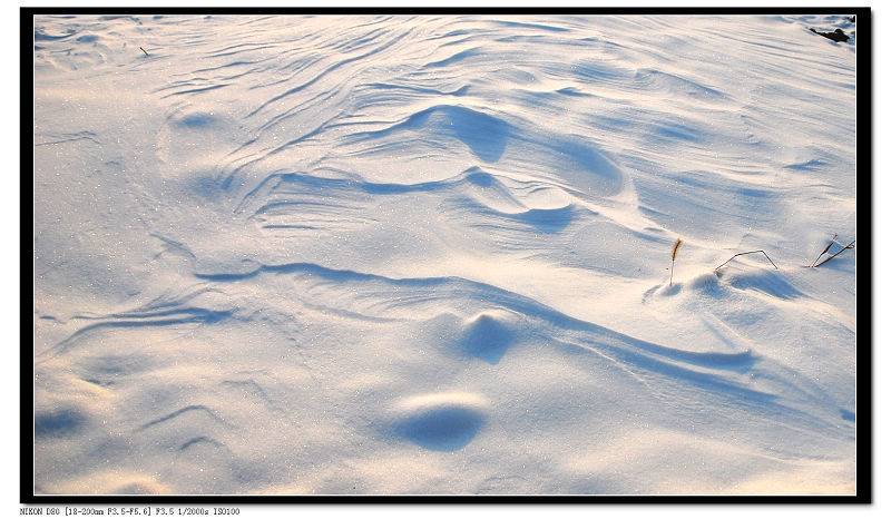 DSC_0179.jpg