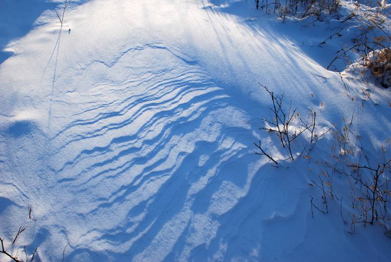 DSC_0036.jpg