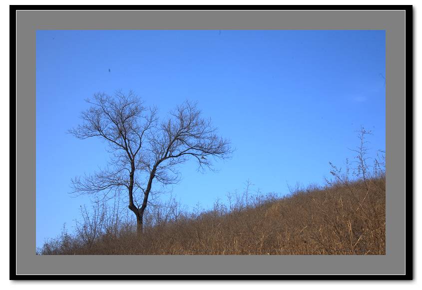 IMG_8453.jpg