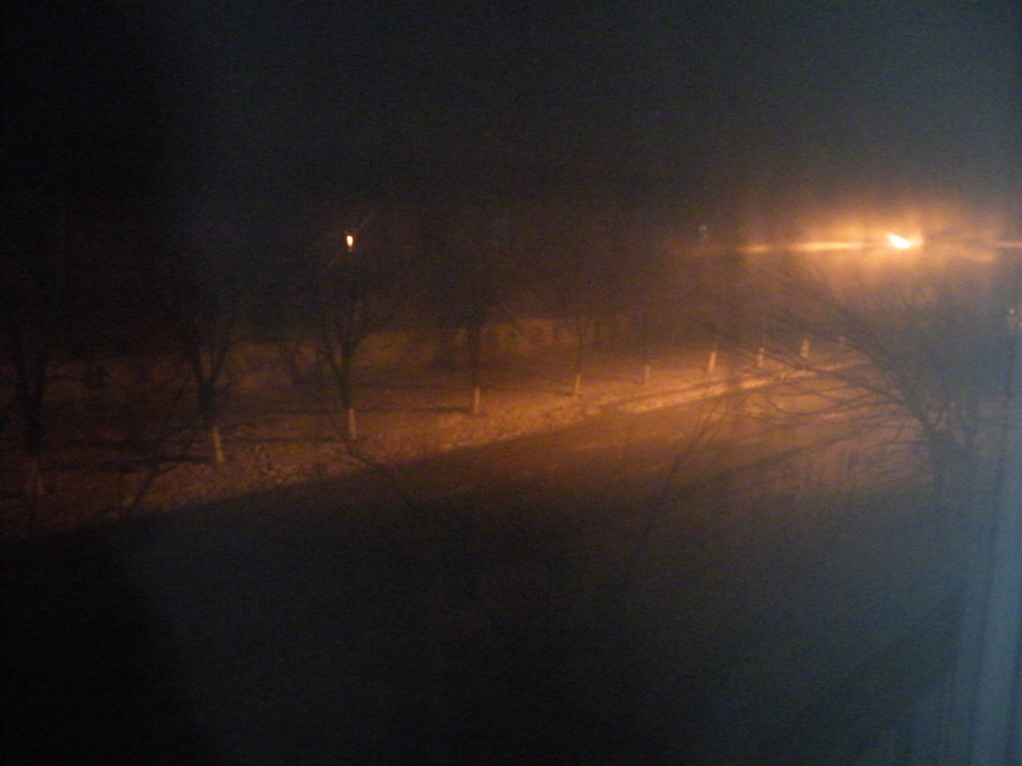 DSCF0031.JPG