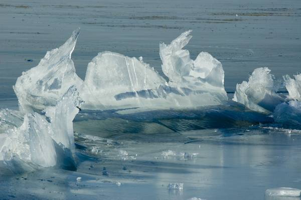 DSC_2452.jpg