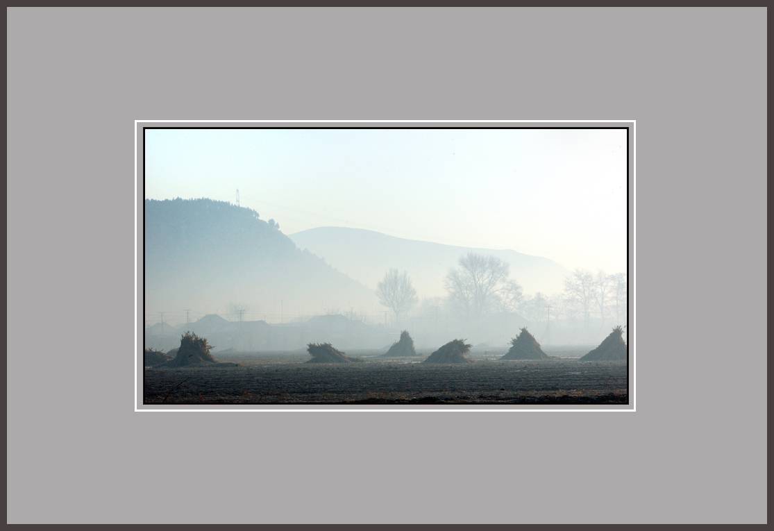 DSC_8173-0.jpg