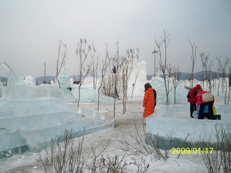 100_0135.jpg