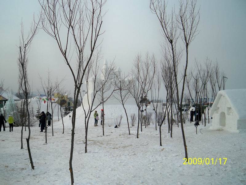 100_0146.jpg