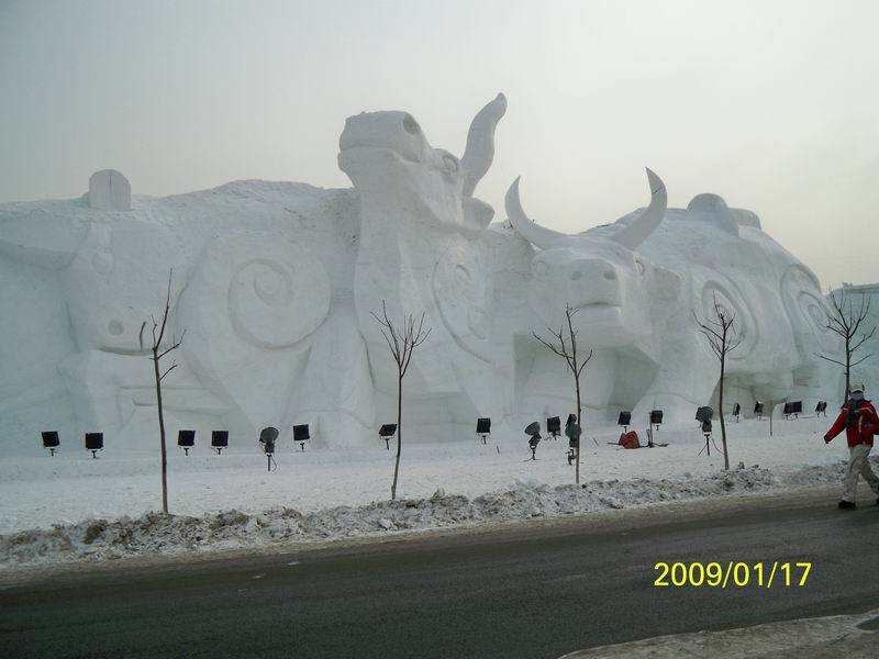 100_0220.jpg