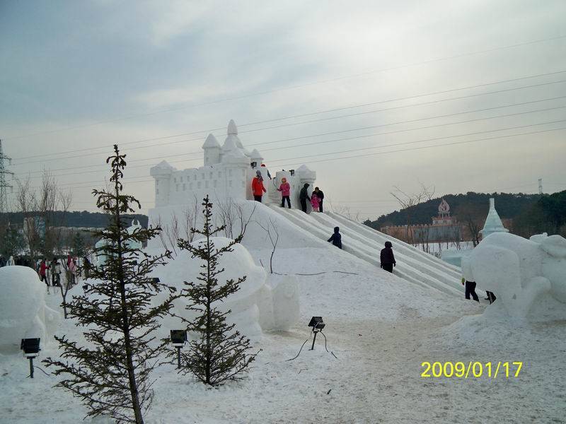 100_0125.jpg