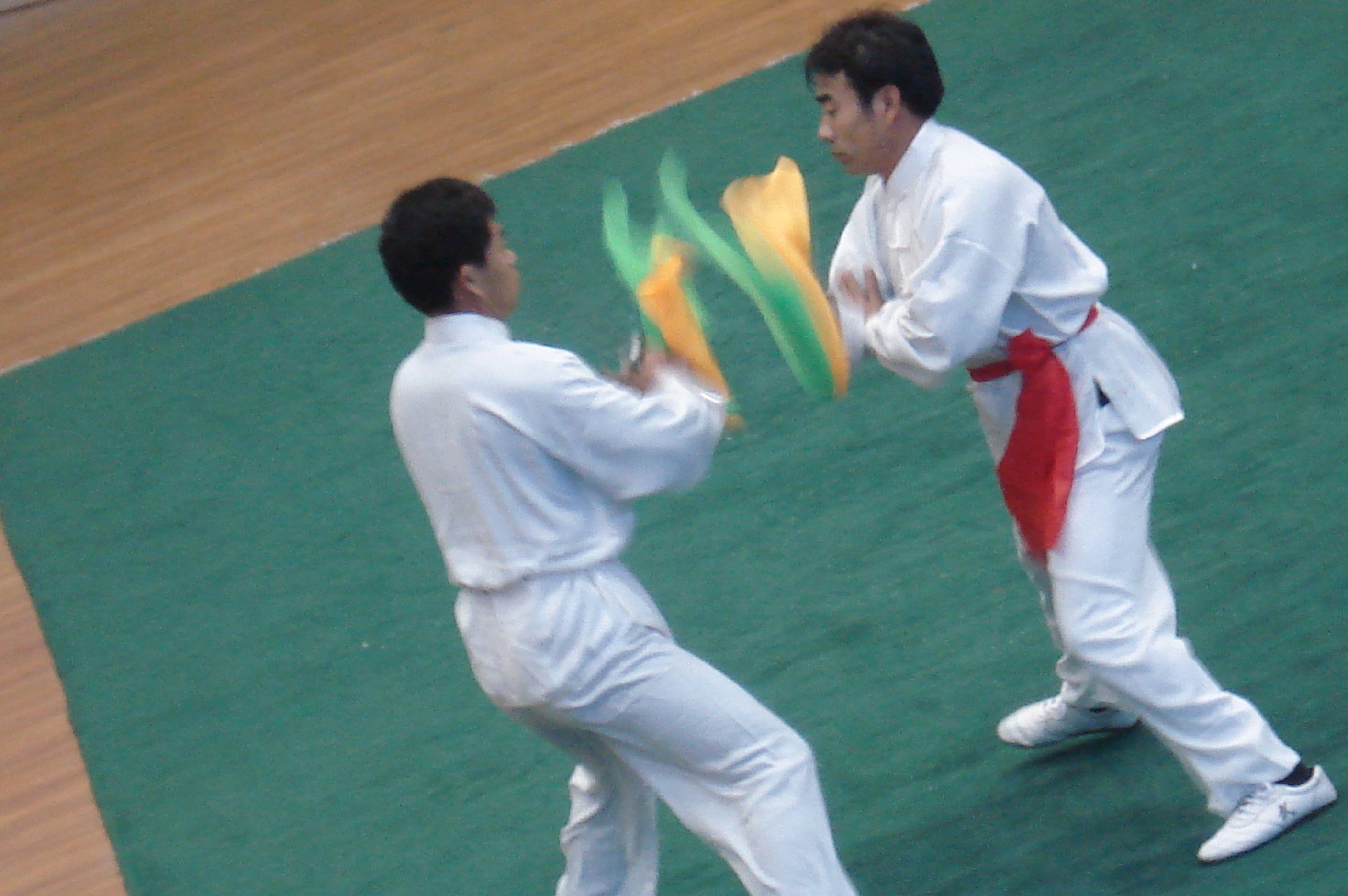 DSC05194.JPG