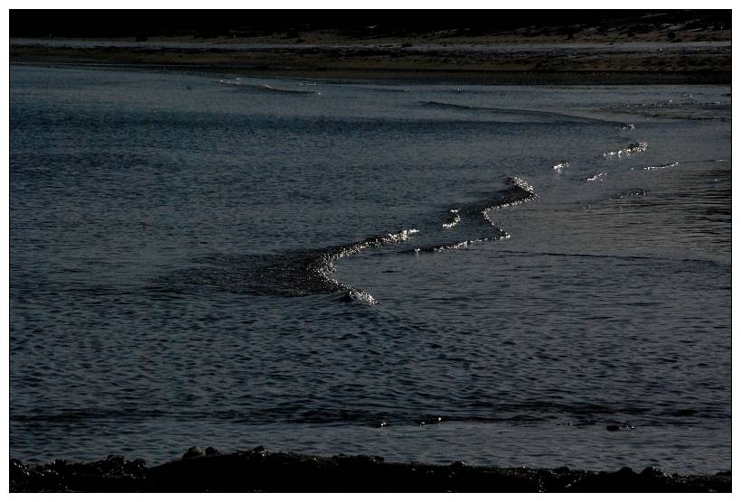 DSC_0049.jpg