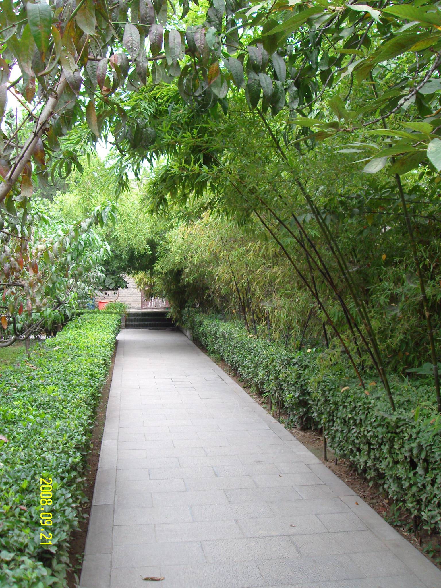 SDC10174.JPG