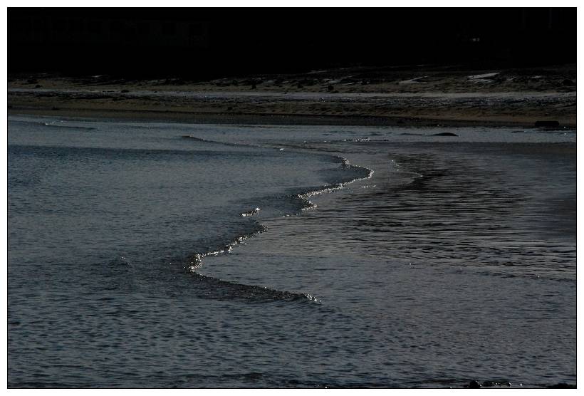 DSC_0050.jpg