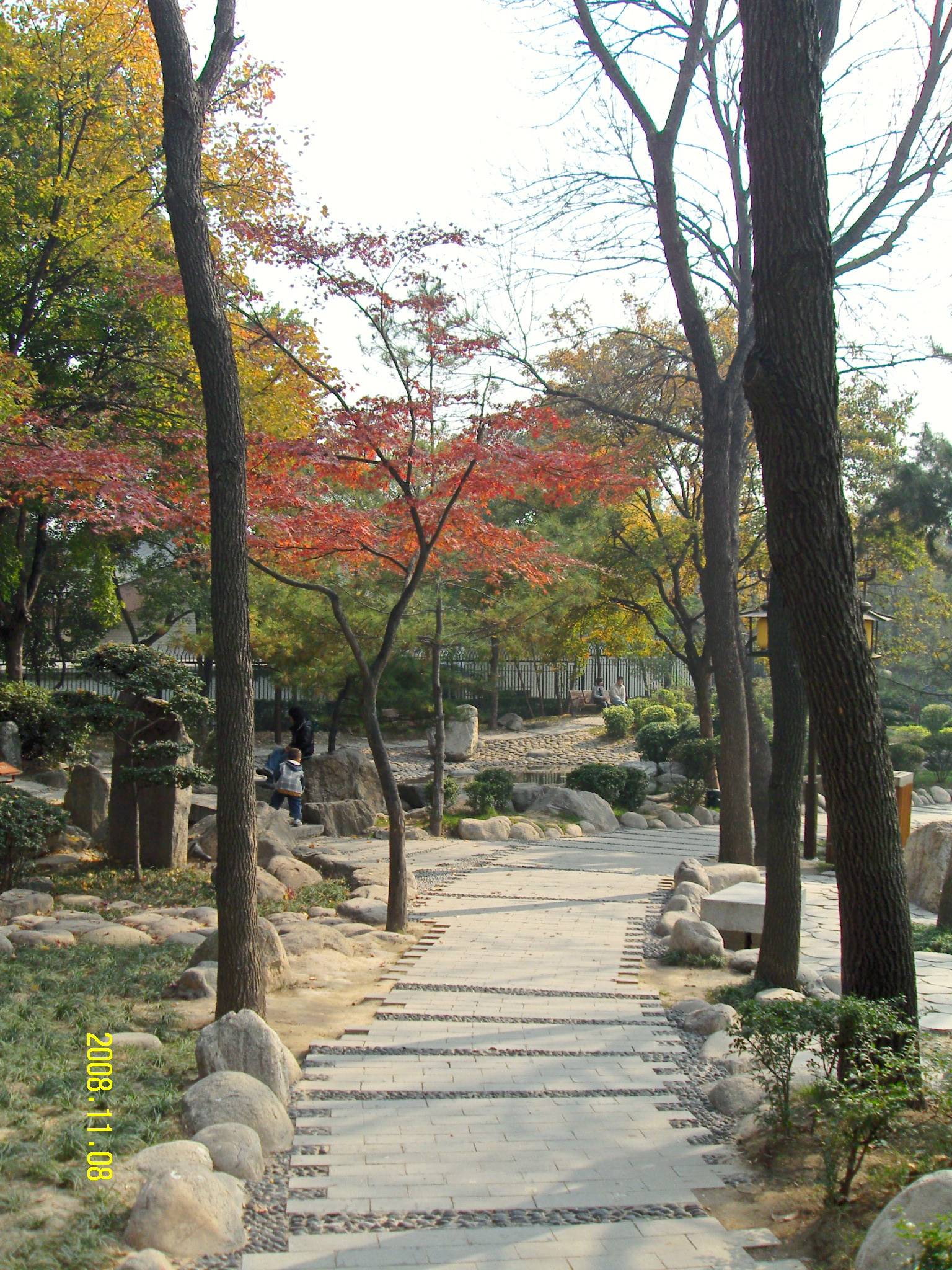 SDC10418.JPG