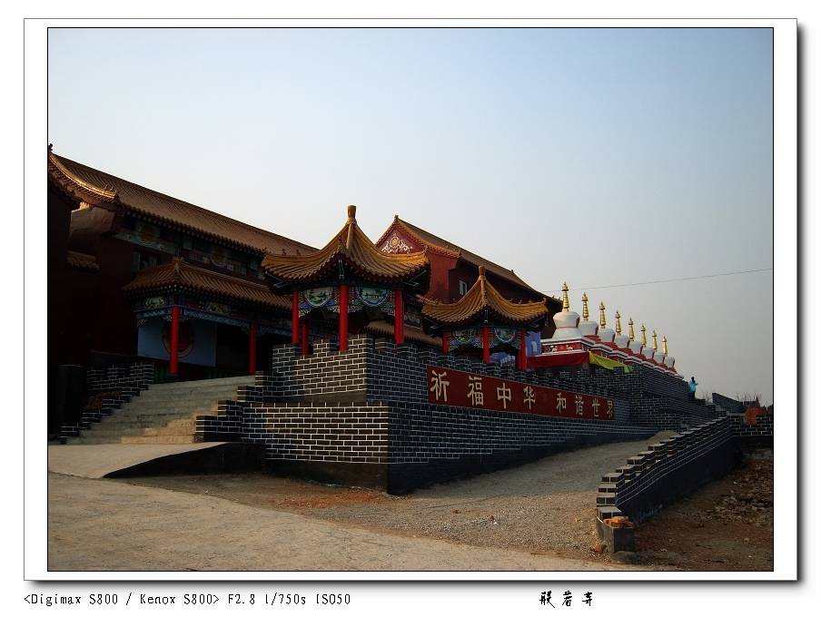 S8005256.jpg