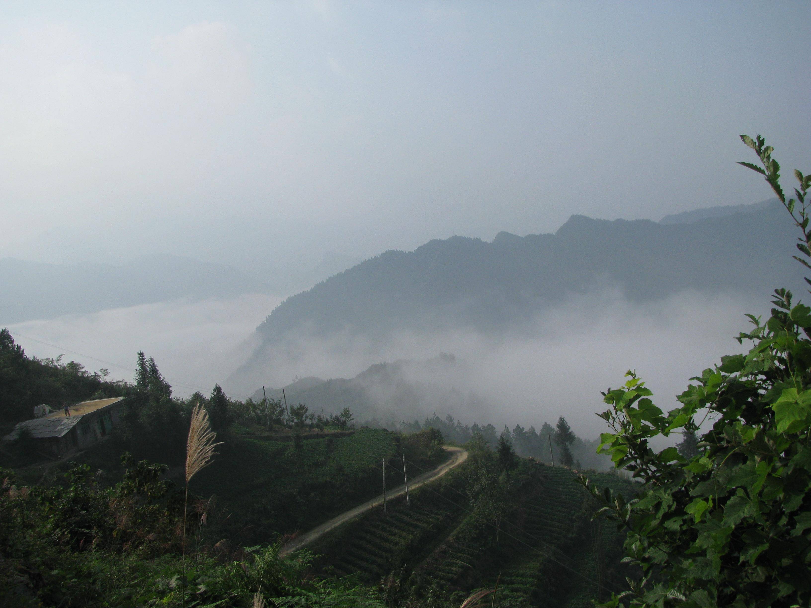 IMG_2573.jpg