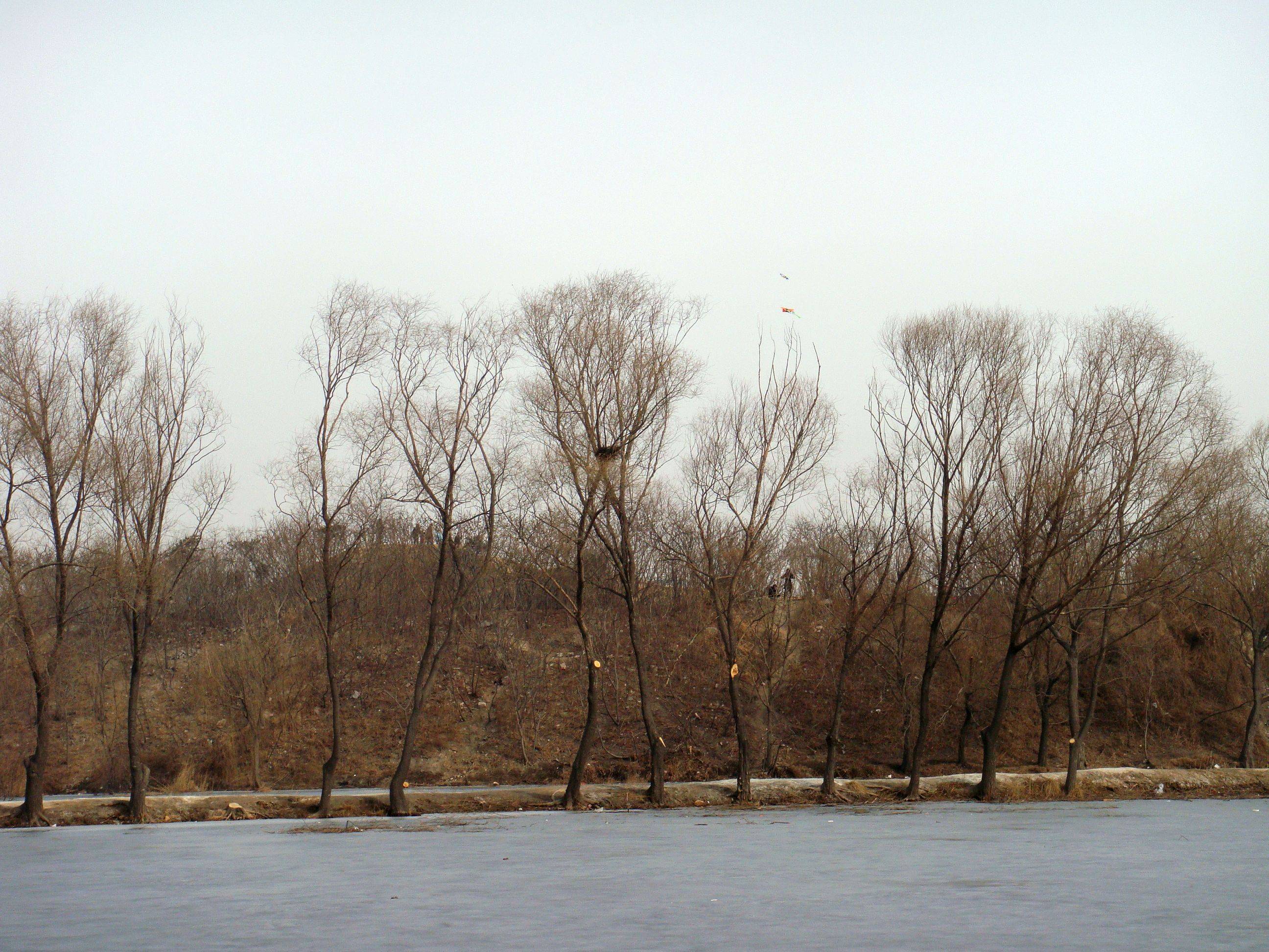 DSC00480.jpg