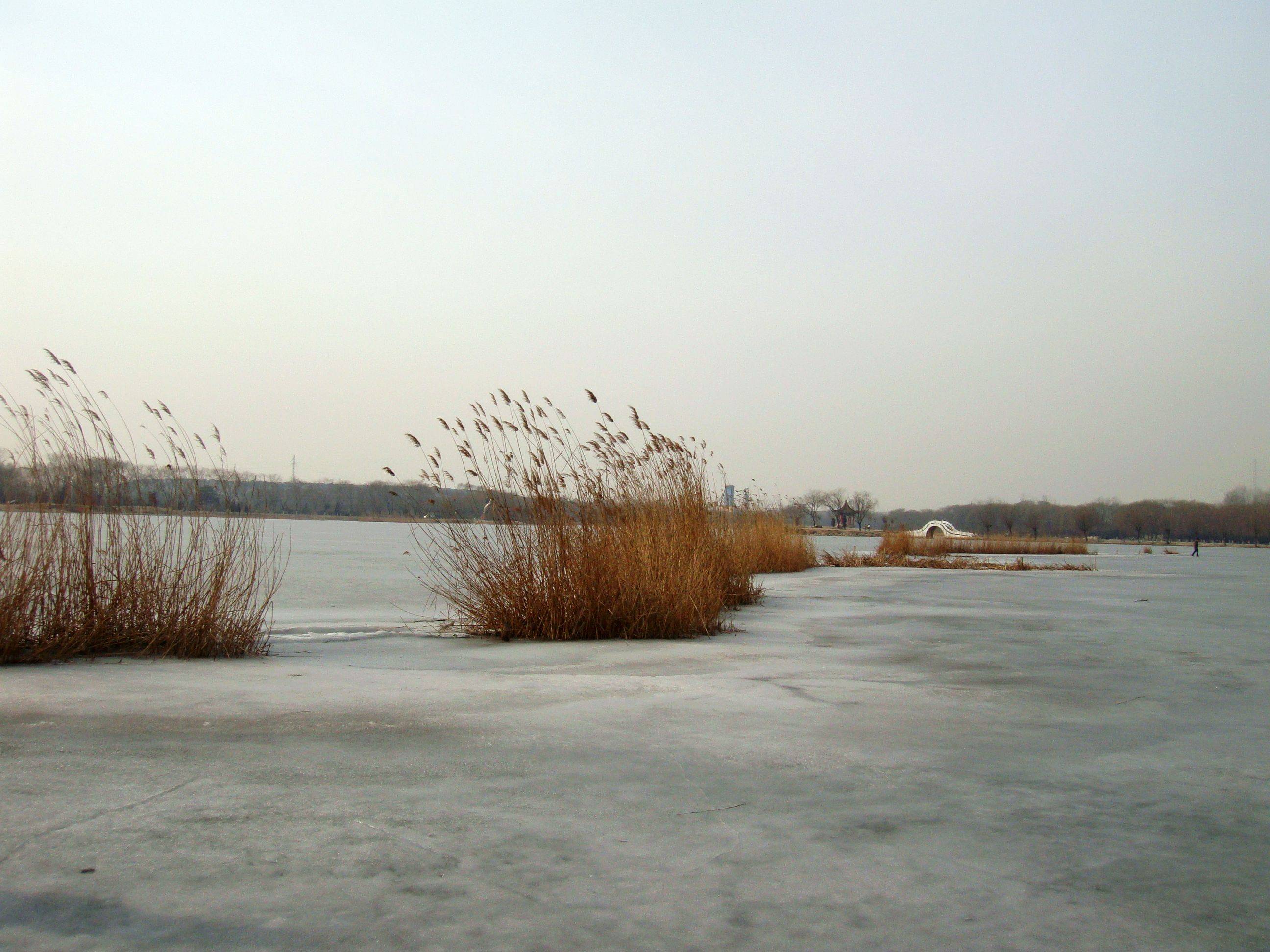 DSC00485.jpg