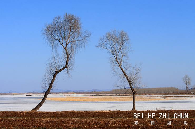 _MG_2674.JPG