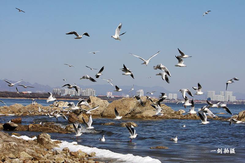 IMG_9064b.jpg