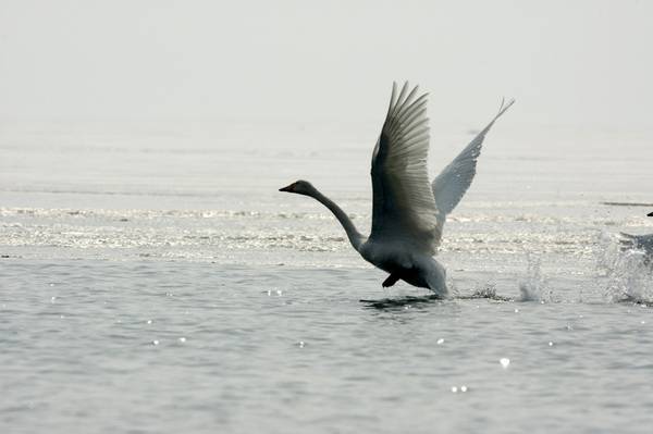 DSC_6593.jpg