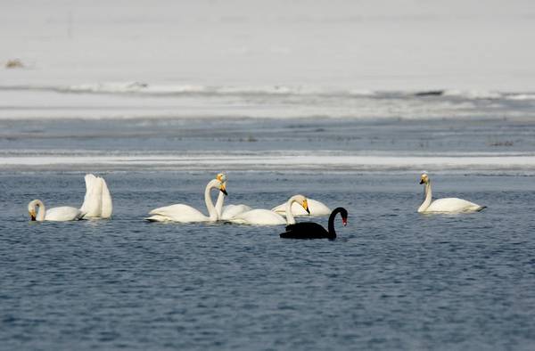 DSC_6377.jpg