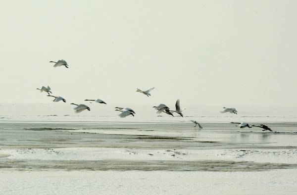 DSC_6359.jpg