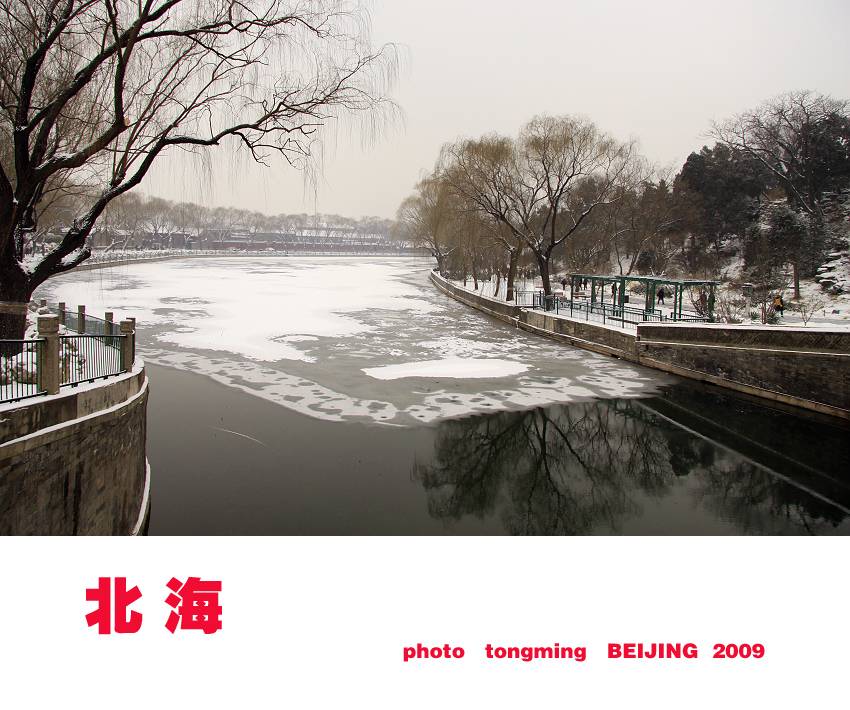 303030.jpg