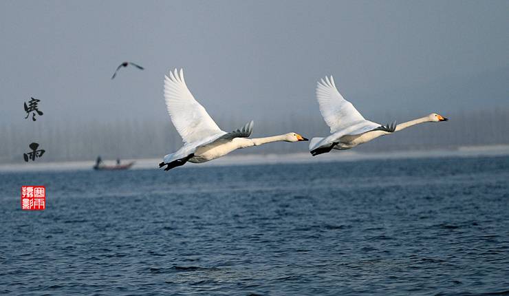 _MG_3235.JPG