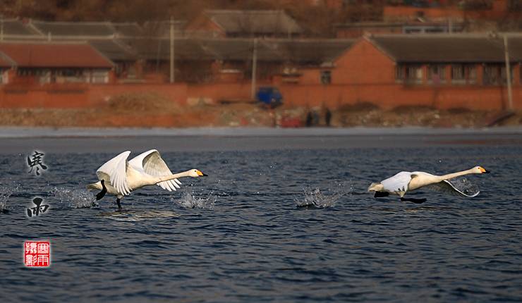 _MG_3226.JPG
