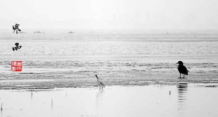 _MG_3318.JPG