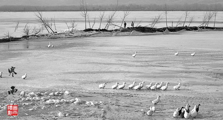 _MG_3344.JPG