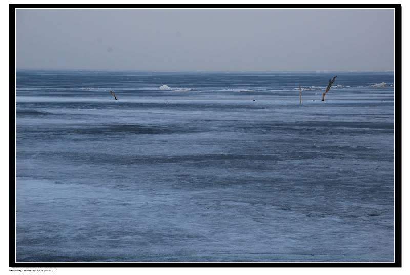 DSC_0047.jpg