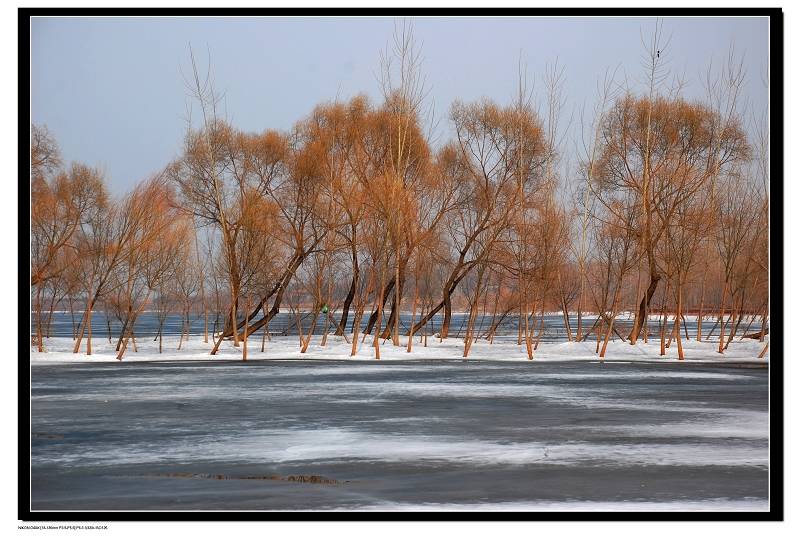 DSC_0086.jpg