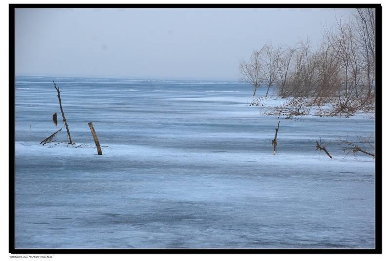 DSC_0044.jpg