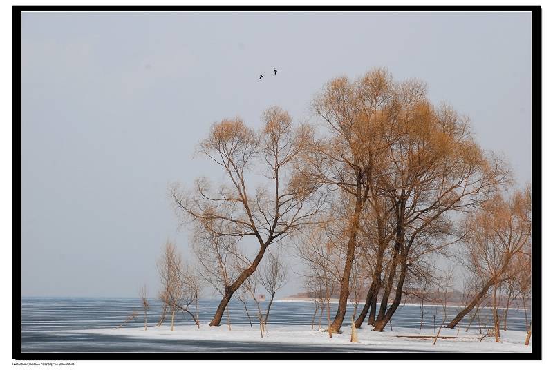 DSC_0079.jpg