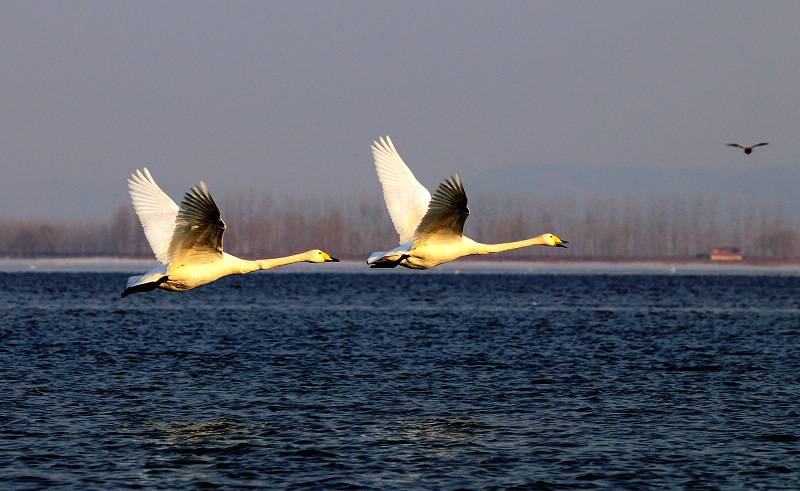 DSC_0423.jpg