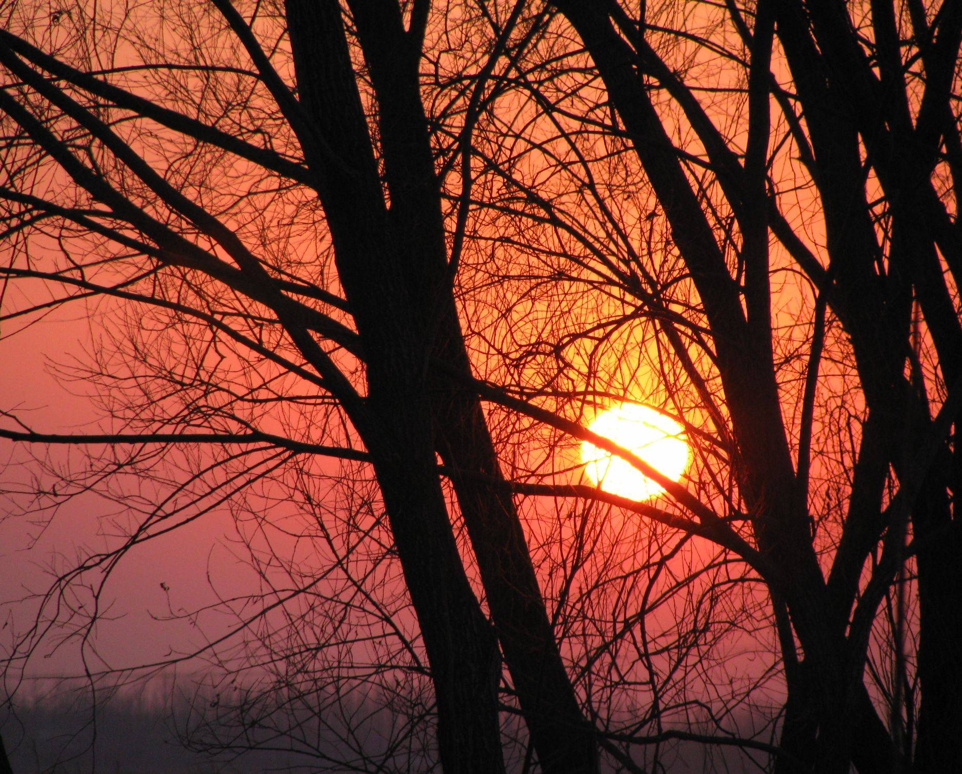 IMG_0160.JPG