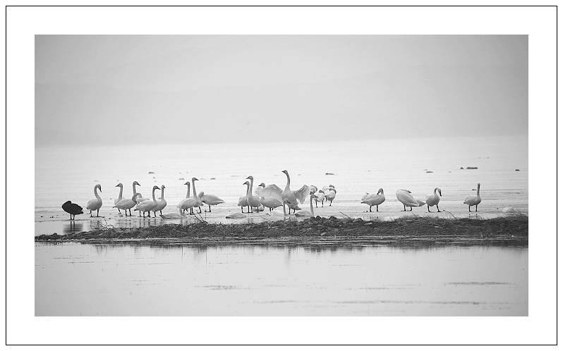IMG_5906.JPG