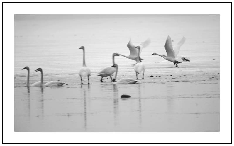 IMG_6163.JPG