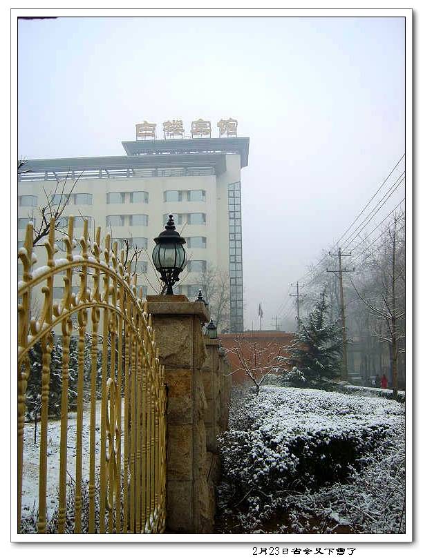 S8005576.jpg