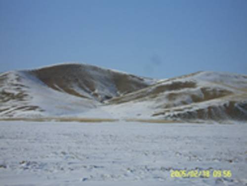 SV101130111.jpg